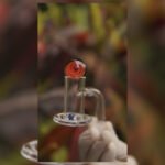 SET BANGER BLENDER + PERLAS COLOR ROJO | 10MM 45 GRADOS