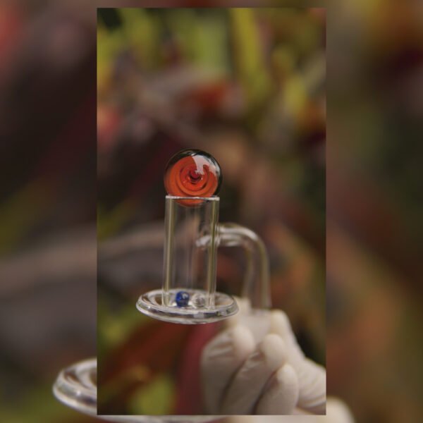 SET BANGER BLENDER + PERLAS COLOR ROJO | 10MM 45 GRADOS