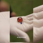 SET BANGER BLENDER + PERLAS COLOR ROJO | 10MM 45 GRADOS - Imagen 5