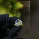 contenedor de acrilico