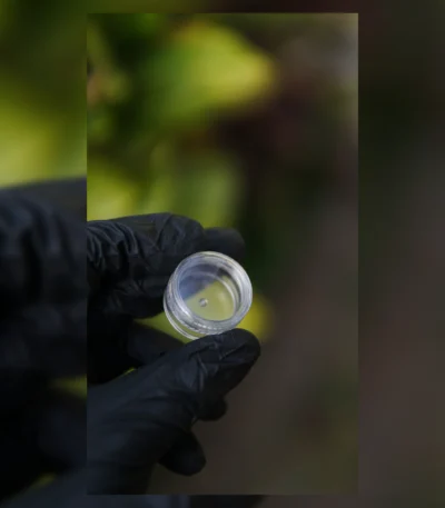 contenedor de acrilico