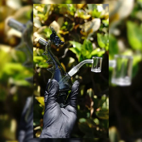 Set completo | Rig Dragon