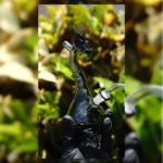 Set completo | Rig Dragon - Imagen 4