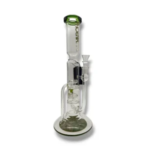 bong lampara phoenix