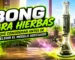 bong para hierbas